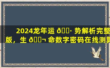 2024龙年运 🌷 势解析完整版，生 🐬 命数字密码在线测算真的准确吗